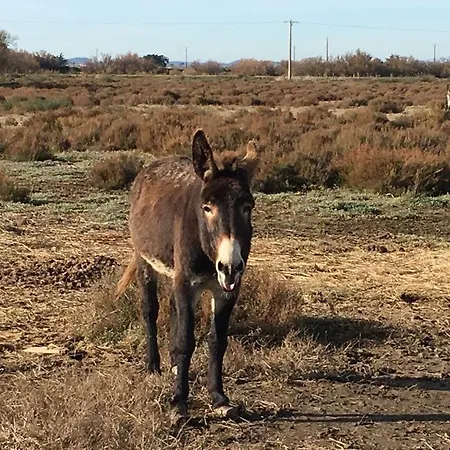 Portiragnes Vakantiepark